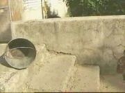 Палач. Зловещий ужас