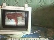 Палач. Зловещий ужас