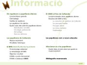 Les papallones de Collserola, pas a pas