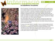 Les papallones de Collserola, pas a pas