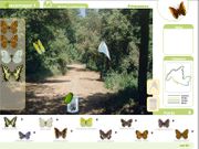 Les papallones de Collserola, pas a pas