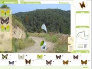 Les papallones de Collserola, pas a pas