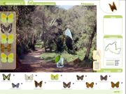 Les papallones de Collserola, pas a pas