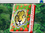 Perdido na Amazônia