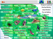 Perdido na Amazônia