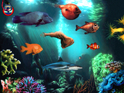 Peter's Magic Adventure