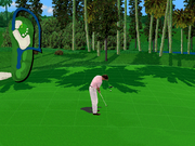 PGA Tour Golf 486