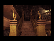 Pink Gear Collection