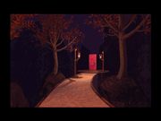 Pink Gear Collection