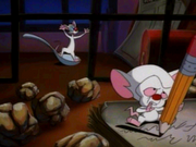 Pinky and The Brain: World Conquest
