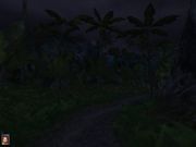 Пираты Карибского моря