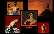 Pit-Fighter