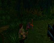 Pitfall: The Lost Expedition