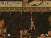 Pitfall: The Mayan Adventure