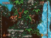 Pitfall: The Mayan Adventure