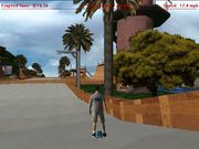 Precision Skateboarding