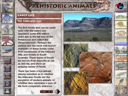 Prehistoric Animals