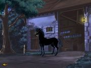 Princess Sissi and Tempest