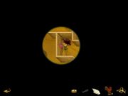 Princess Sissi and Tempest