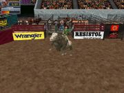 Professional Bullrider 2