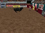 Professional Bullrider 2