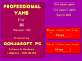 [Скриншот: Professional Yamb]