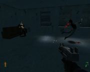 Project IGI: I'm Going In