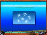 Путешествие по морям и океанам