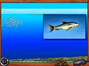 Путешествие по морям и океанам