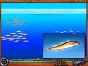 Путешествие по морям и океанам