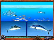 Путешествие по морям и океанам