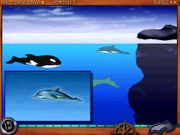 Путешествие по морям и океанам