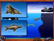 Путешествие по морям и океанам