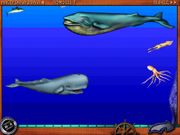 Путешествие по морям и океанам