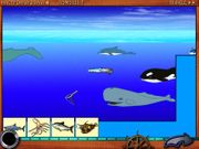 Путешествие по морям и океанам