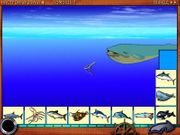 Путешествие по морям и океанам