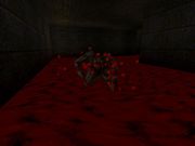 Quake: Scourge of Armagon