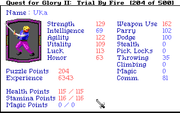 Quest for Glory II: Trial by Fire