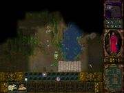 Аллоды II: Повелитель душ