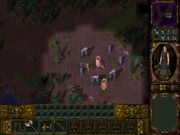 Аллоды II: Повелитель душ