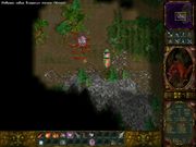 Аллоды II: Повелитель душ