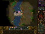 Аллоды II: Повелитель душ