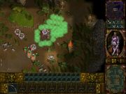 Аллоды II: Повелитель душ