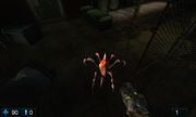 Rat Hunter