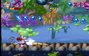 Rayman