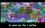 Rayman