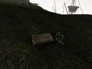 realMyst