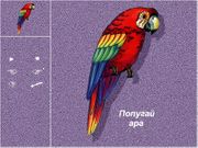 Ребятам о зверятах