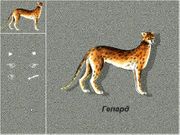 Ребятам о зверятах