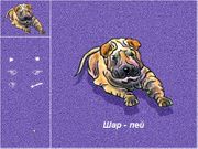 Ребятам о зверятах